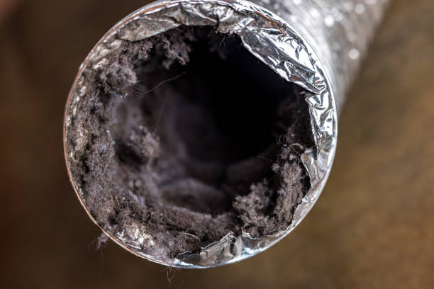 Best Commercial Air Duct Cleaning in Bemidji, MN